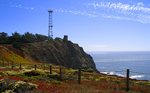 Vertical Real Estate